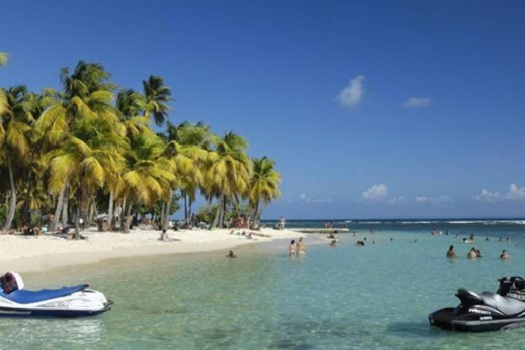 Gite Cajou Dans Jardin Tropical Ventile A Sainte-Anne Ngoại thất bức ảnh