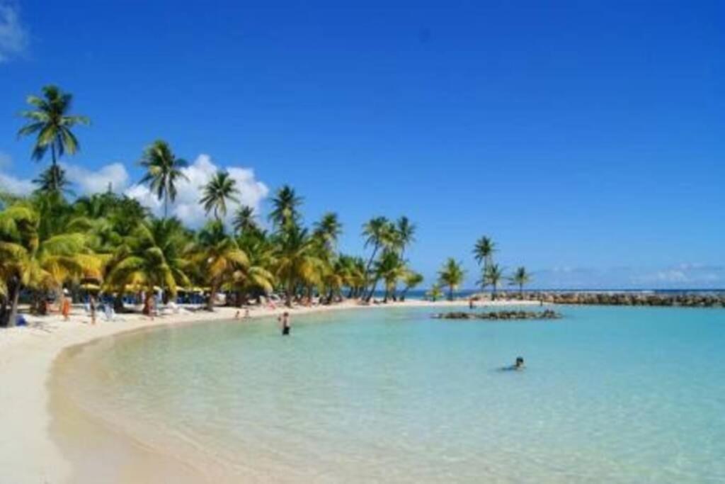 Gite Cajou Dans Jardin Tropical Ventile A Sainte-Anne Ngoại thất bức ảnh