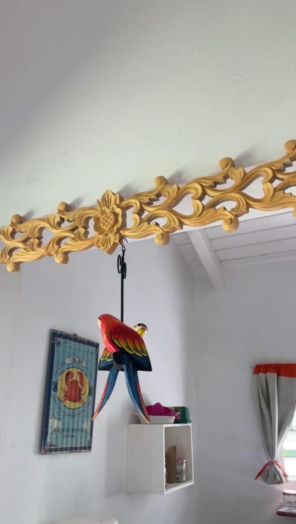 Gite Cajou Dans Jardin Tropical Ventile A Sainte-Anne Ngoại thất bức ảnh