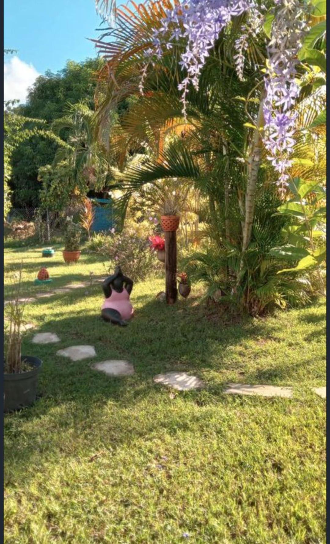 Gite Cajou Dans Jardin Tropical Ventile A Sainte-Anne Ngoại thất bức ảnh