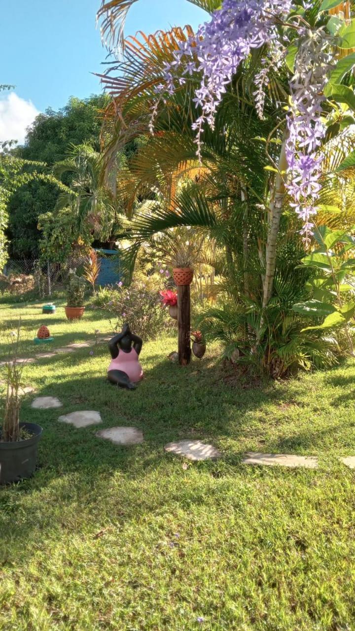 Gite Cajou Dans Jardin Tropical Ventile A Sainte-Anne Ngoại thất bức ảnh