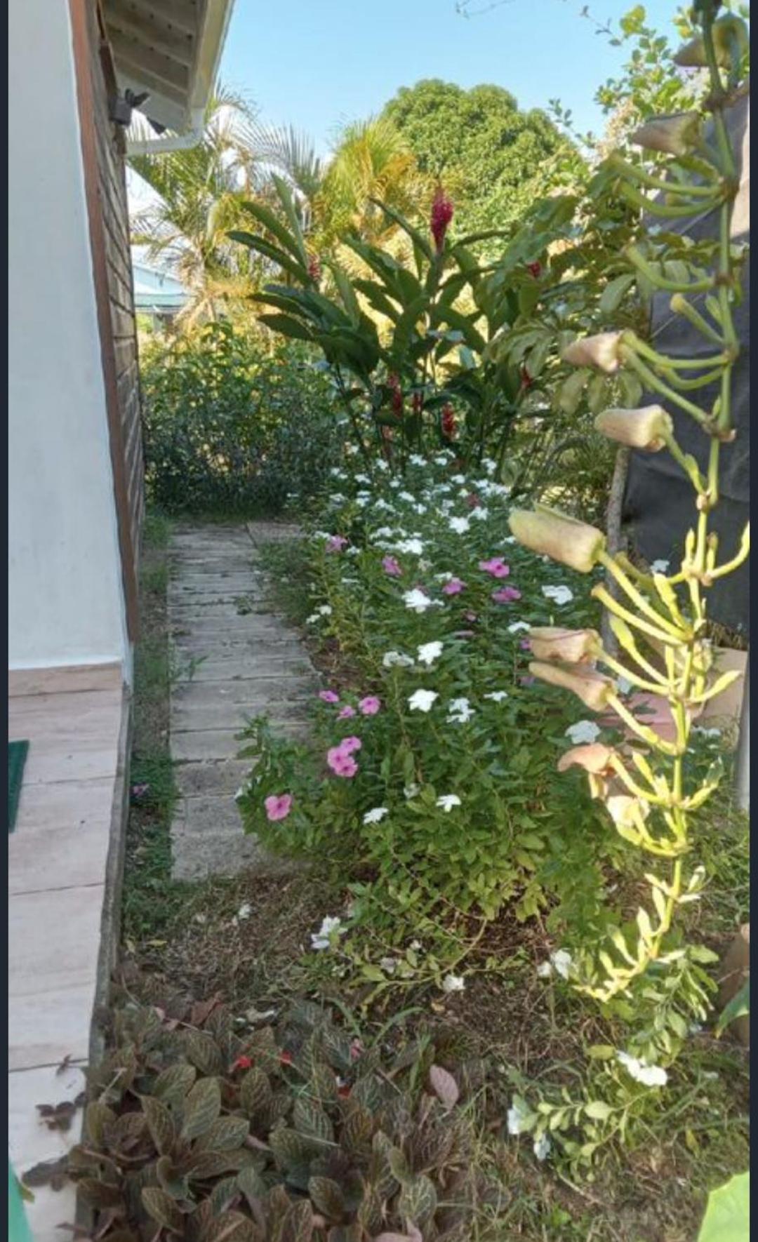 Gite Cajou Dans Jardin Tropical Ventile A Sainte-Anne Ngoại thất bức ảnh